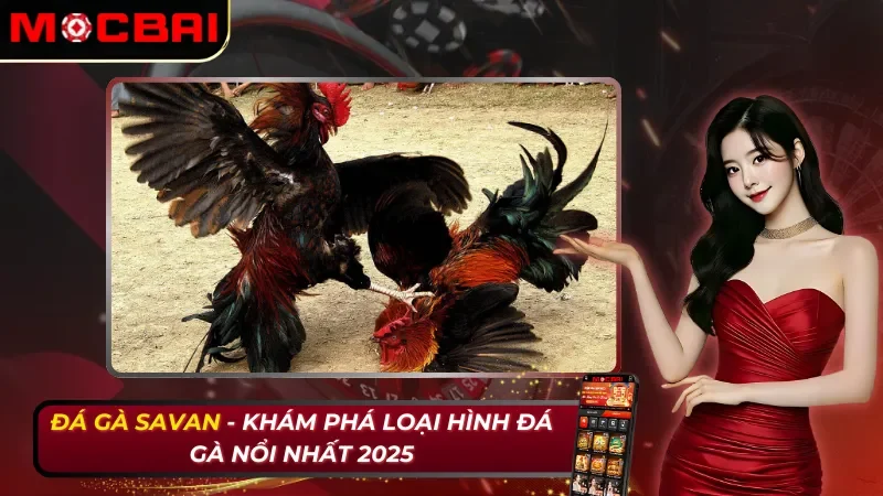 Đá Gà Savan