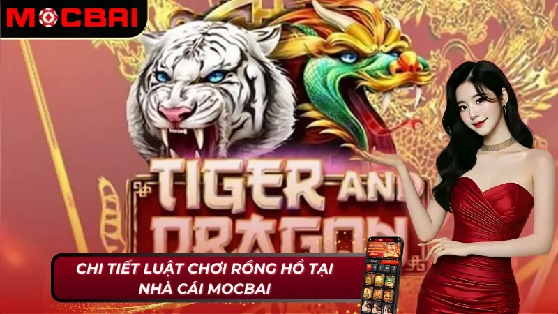 Giải thích chuẩn luật chơi của Rồng Hổ Mocbai