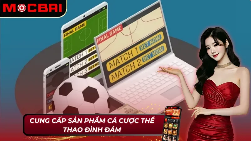 Cá cược thể thao - Sản phẩm chất lượng tại SBOBET Sports Mocbai