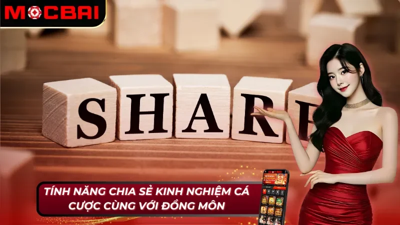 Cơ chế chia sẻ kinh nghiệm giải trí tại Mocbai